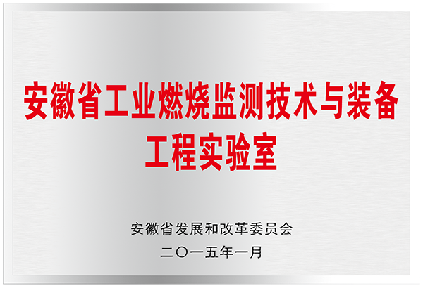 安徽省工業(yè)燃燒監(jiān)測技術(shù)與裝備工程實驗室